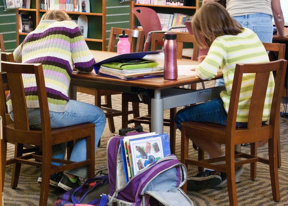 Less homework for students picture