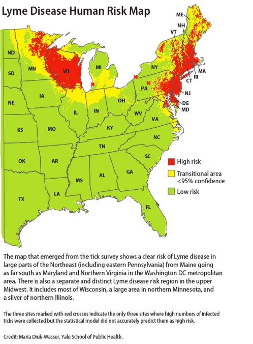 The Ultimate Lyme Disease Map So Far Commonhealth