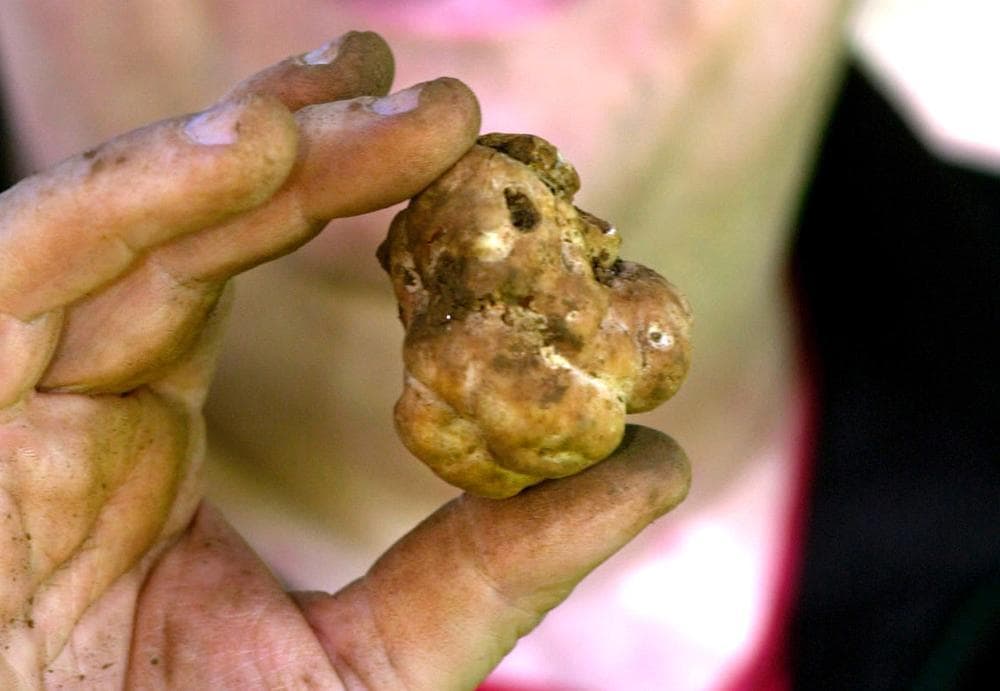 5 Recipes From The Oregon Truffle Festival Here & Now