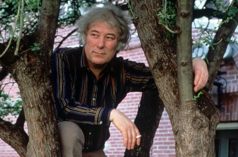 seamus-heaney-considered-ireland-s-greatest-poet-since-yeats-dead-at