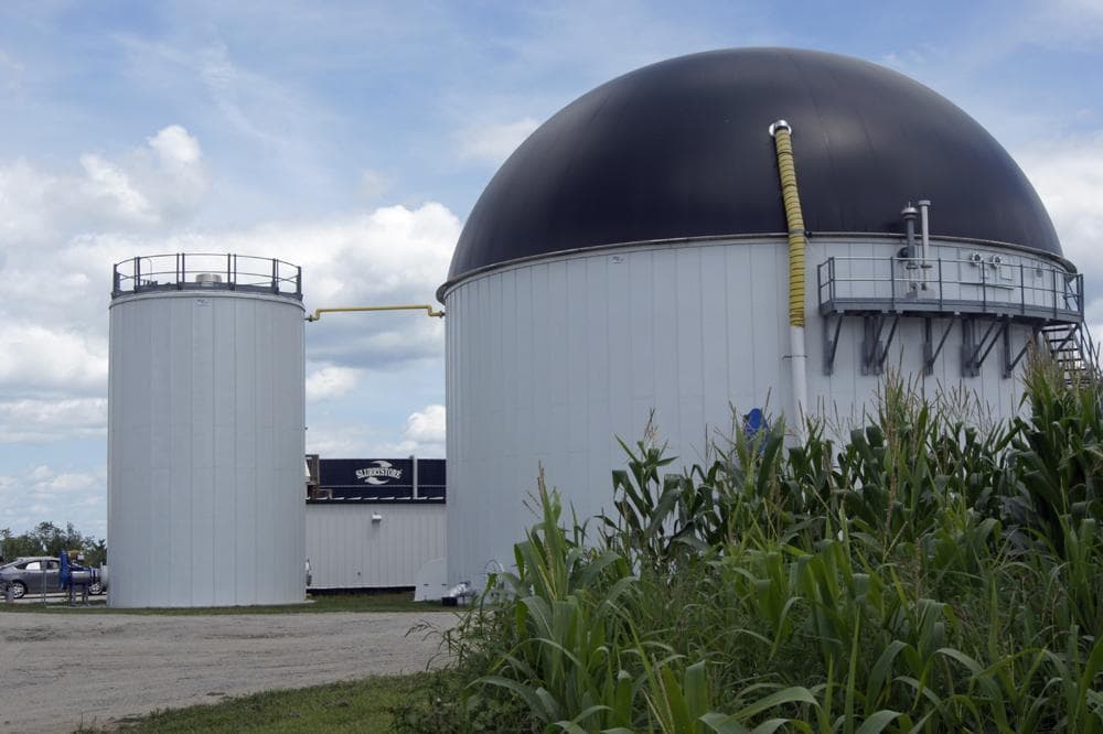  Big Bertha Transforms Food Scraps Into Value WBUR News