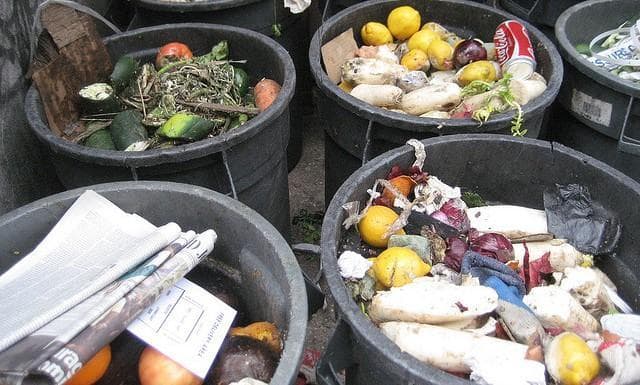 NYC Restaurant Challenge: Recycle All Food Waste | Here & Now