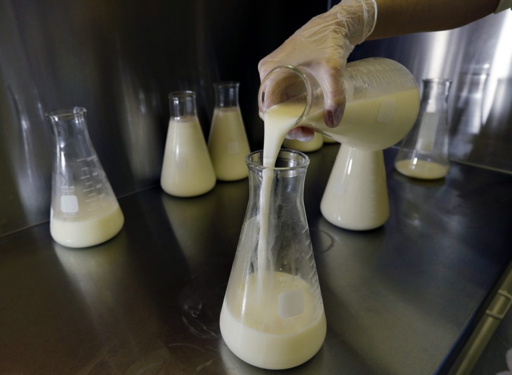 Blood, Sperm, Milk: The Thriving Market in Human Body Products | Radio