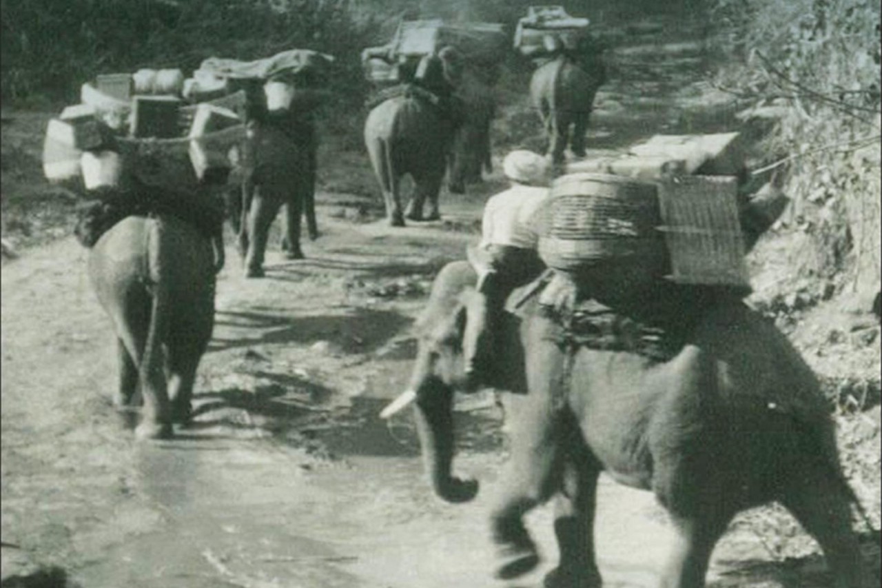 The ‘Elephant Whisperer’ Of World War II On Point