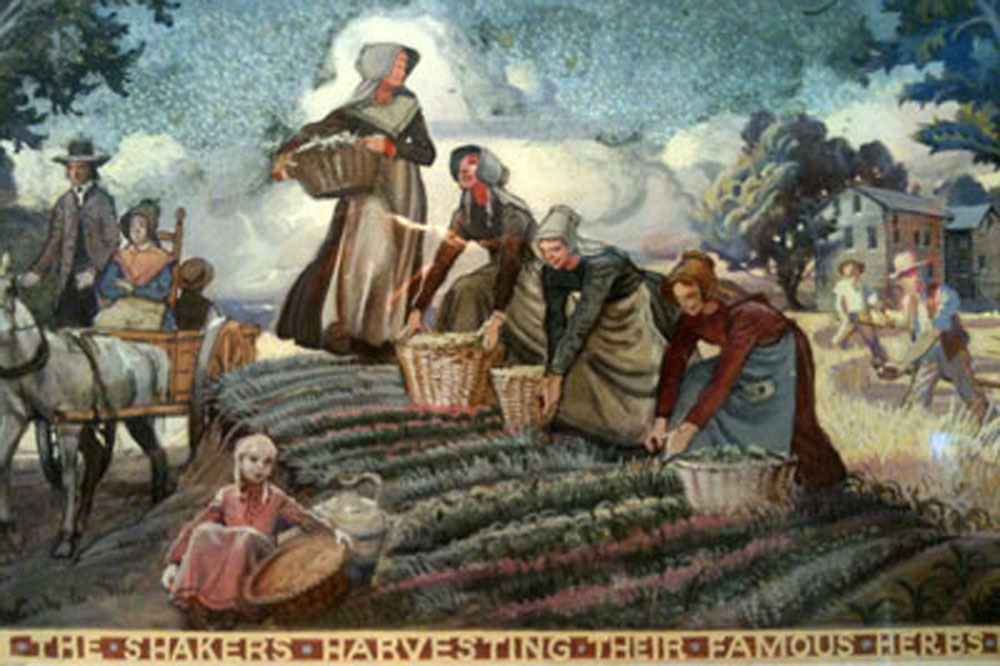 The Shaker Way Of Life On Point