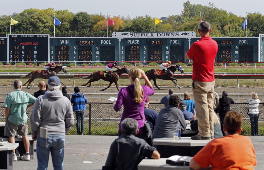 Is There A Future For Horse Racing In Massachusetts? Radio Boston