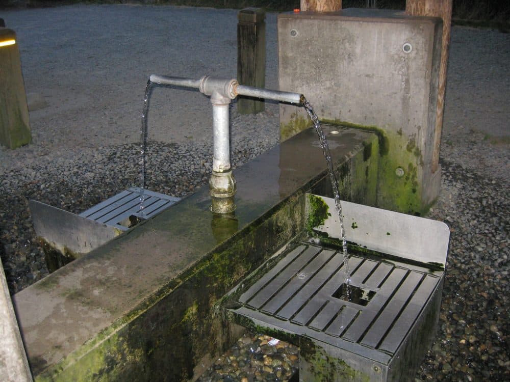 well water for formula