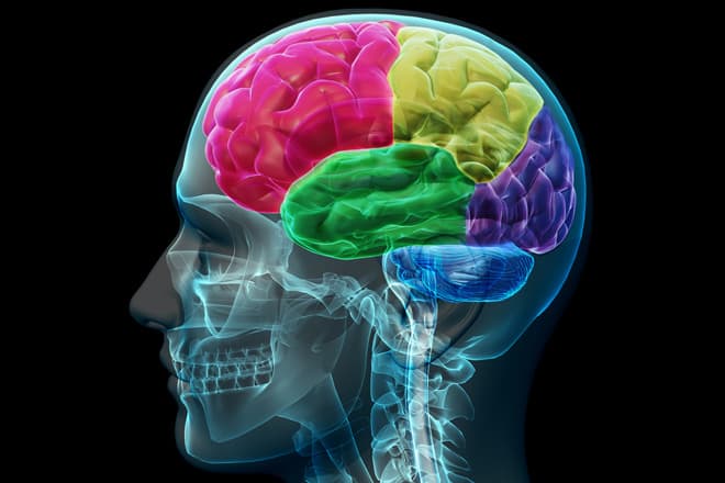 More Evidence That Growing Up Poor May >> More Evidence That Growing Up Poor May Alter Key Brain Structures More Evidence That Growing Up Poor May >> More Evidence That Growing Up Poor May Alter Key Brain Structures