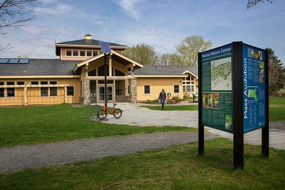 månedlige tilskuer diameter Nature Center Is An Urban Oasis For Boston Youth | WBUR News