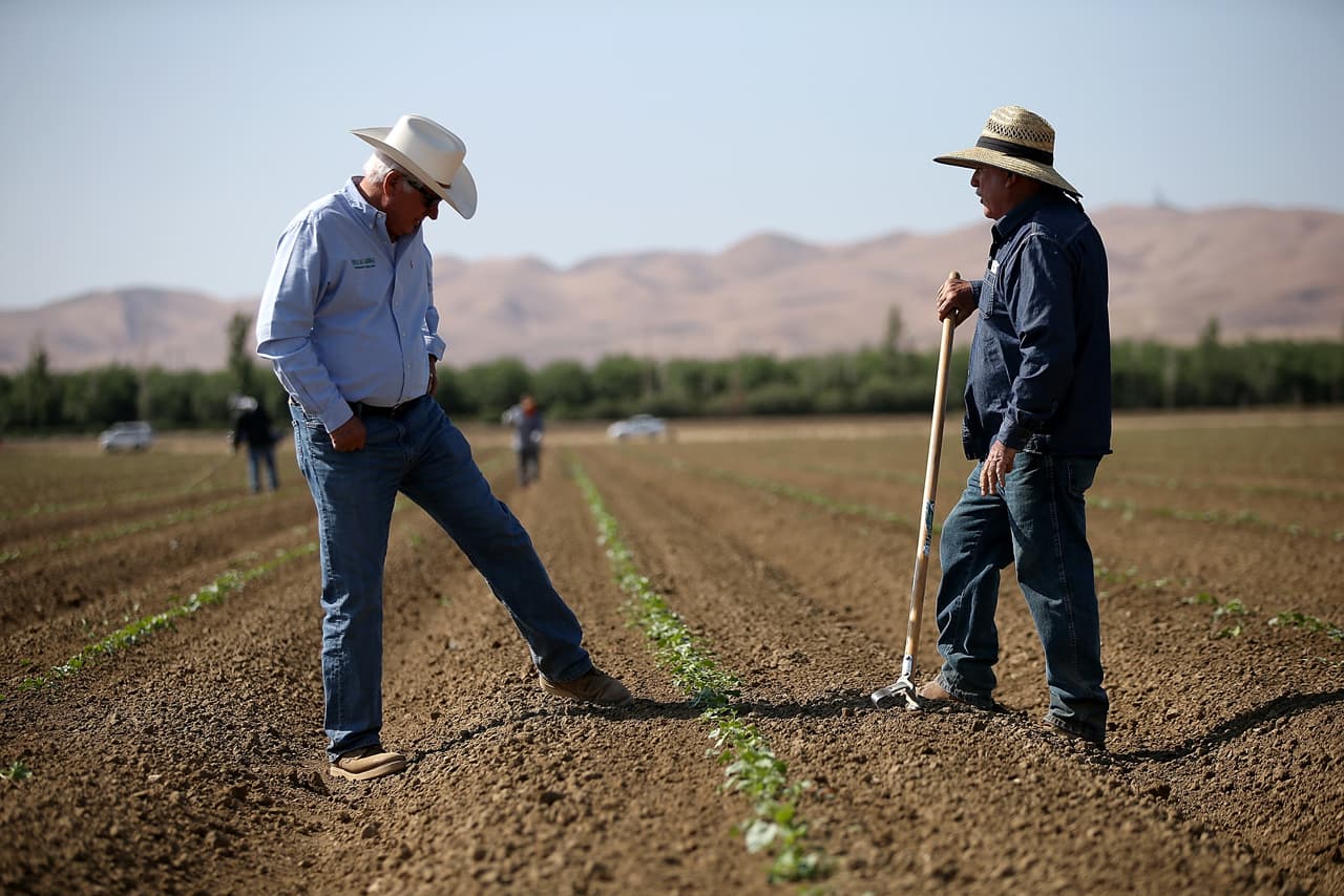 shop the impact of nitrogen deposition on natural and semi natural ecosystems