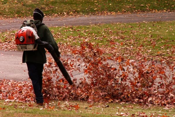 You Hate Leaf Blowers, Your Neighbor Uses Them How One