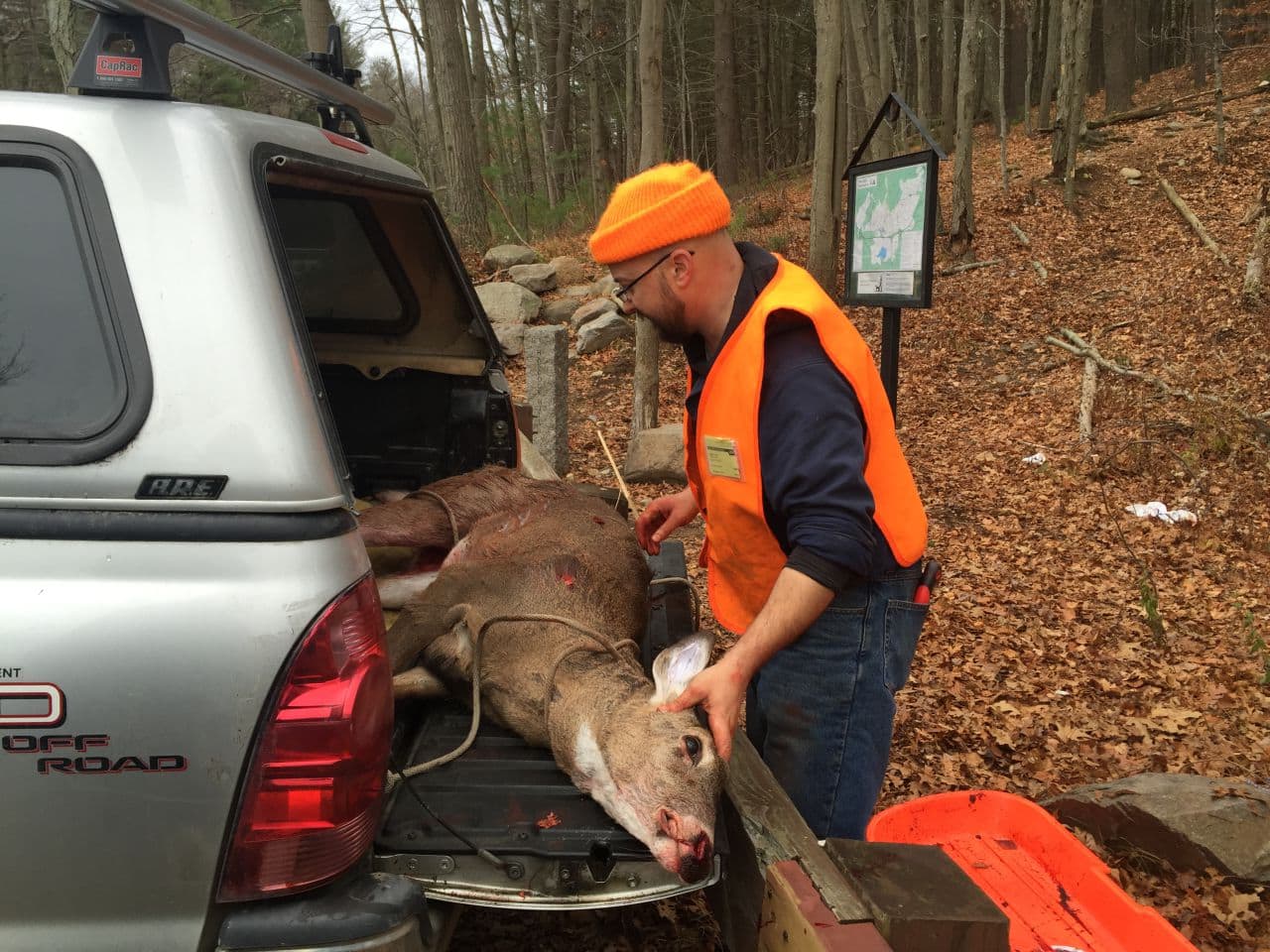 To Reduce Deer Population, Hunters Return To The Blue Hills Reservation