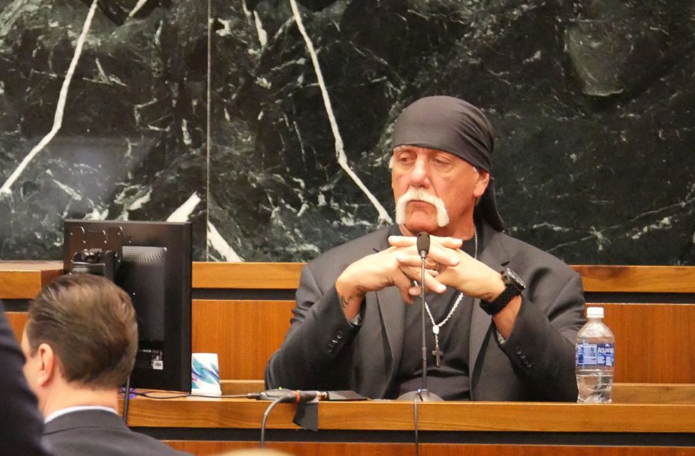 Hubert Hudson voks Pompeji What Hulk Hogan's Case Against Gawker Means For Free Press | Here & Now