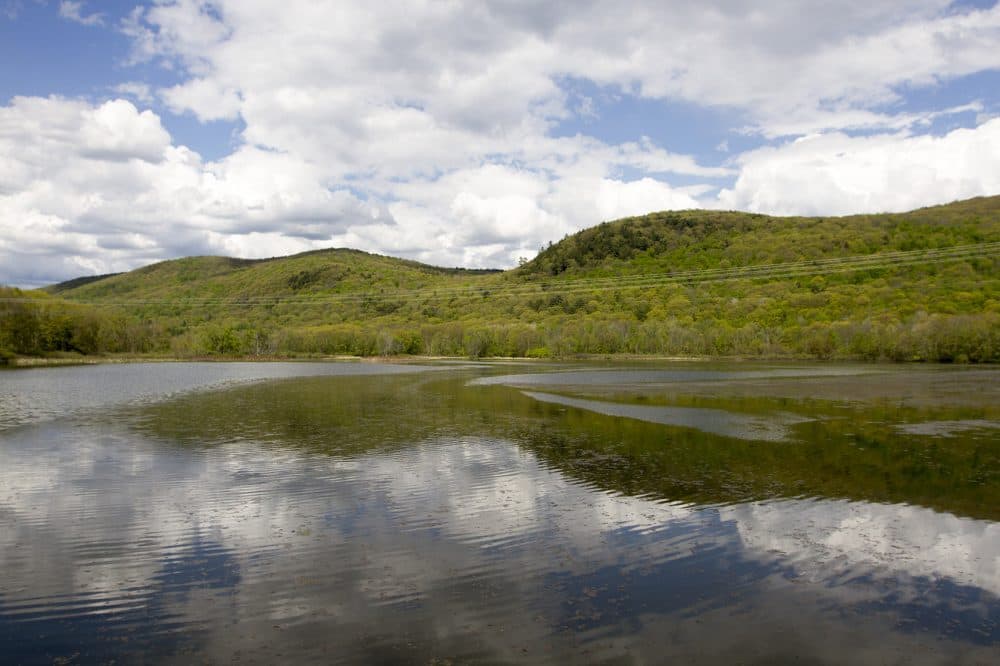 Woods Pond in Lenox, Massachusetts. (Joe Difazio for WBUR)