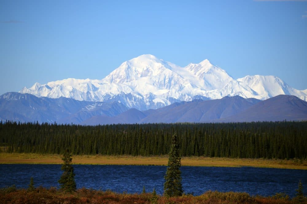 denali national parks