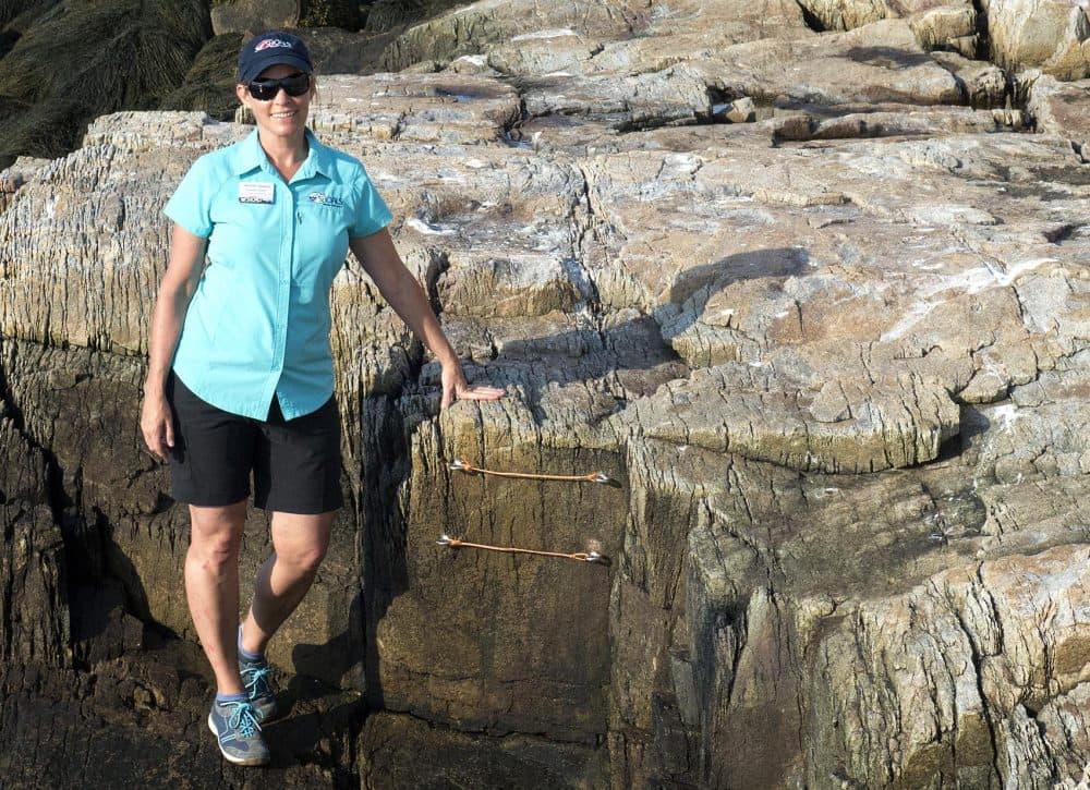 Jennifer Seavey of the Shoals Marine Laboratory stands next to ropes that mark the high tide line. The bottom one is from Hassam's day, the top from today. (Andrea Shea/WBUR)