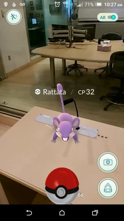 Here & Now producer Dean Russell plays Pokémon GO in the WBUR studio. (James Trout/Here & Now)