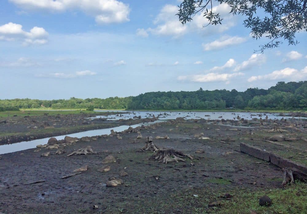 Amid Drought Scituate Reservoir Is Getting Precariously Low Morning Edition