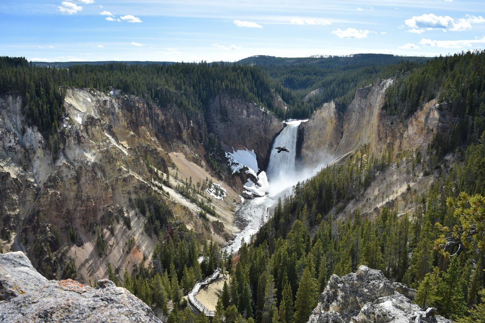 how-one-audio-archivist-works-to-preserve-yellowstone-s-iconic-sounds