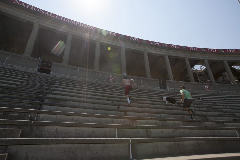 Should the university have a phys-ed requirement that could include, say, running the stairs at Harvard Stadium? (Joe Difazio for WBUR)
