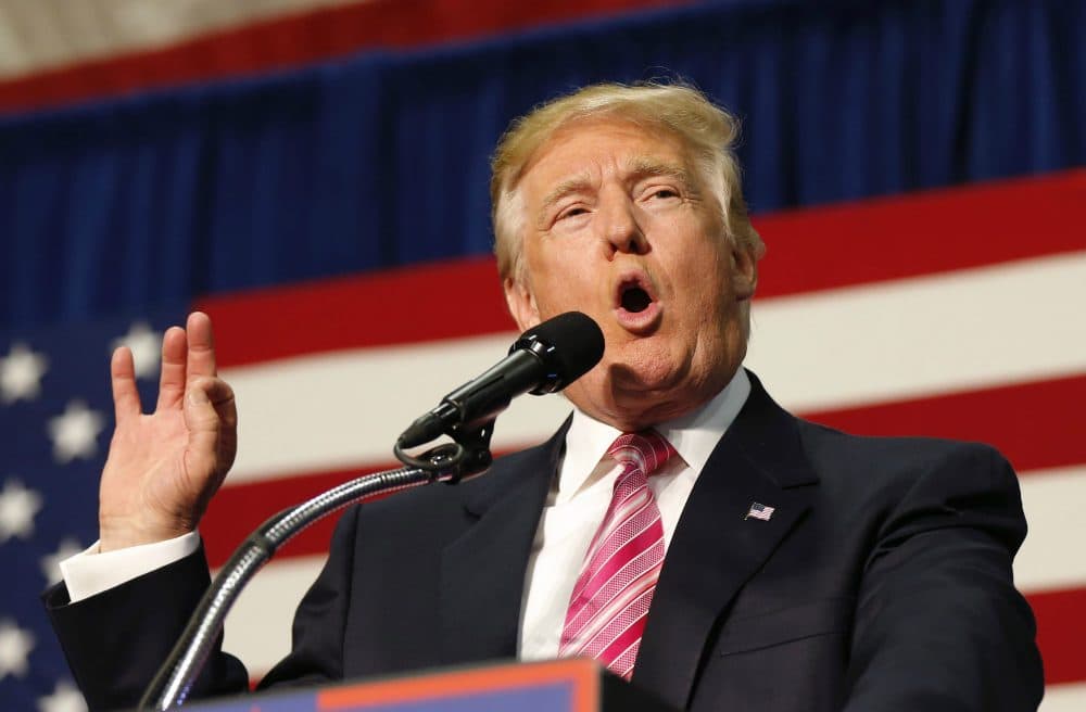 Republican presidential candidate Donald Trump speaks at a campaign rally in Fredericksburg, Va., Aug. 20, 2016. (Gerald Herbert/AP)