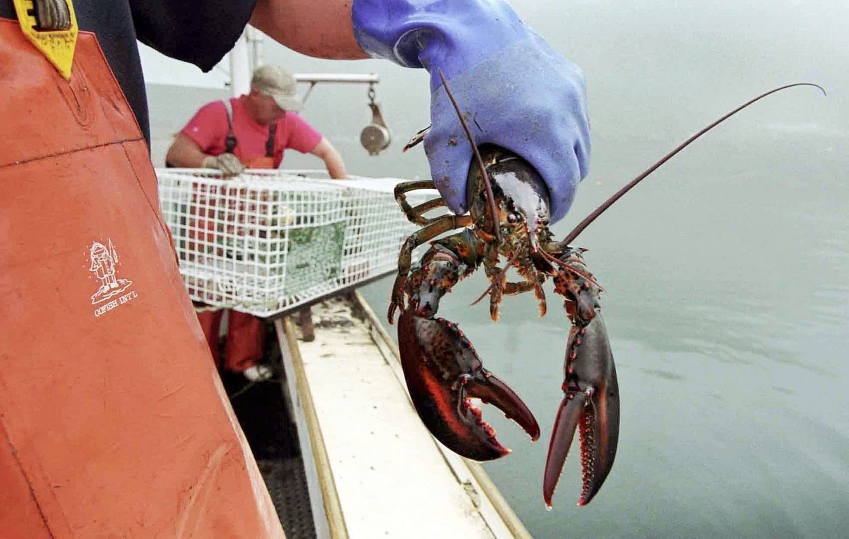 New England Lobster Prices High Heading Into Holiday Weekend WBUR News