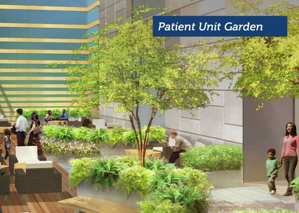 One of the interior “green spaces." Hospital executives say many patients can’t go outdoors to the existing Prouty Garden because of their medical conditions, so interior gardens will give them greater access to green space. (Courtesy Boston Children's Hospital)