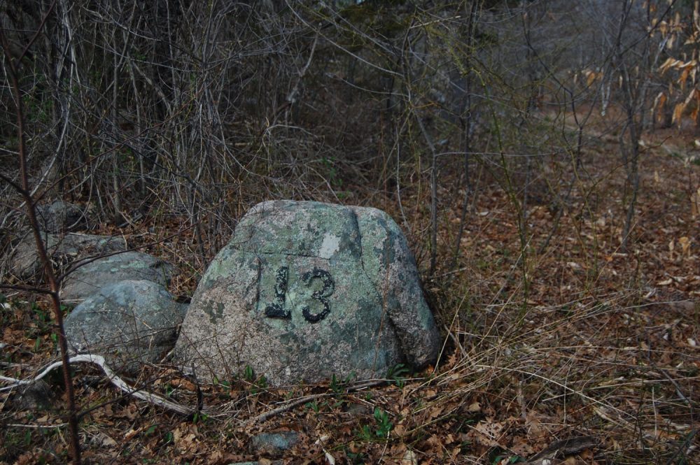 Cellar hole 13 in Gloucester's Dogtown woods. (Greg Cook/WBUR)