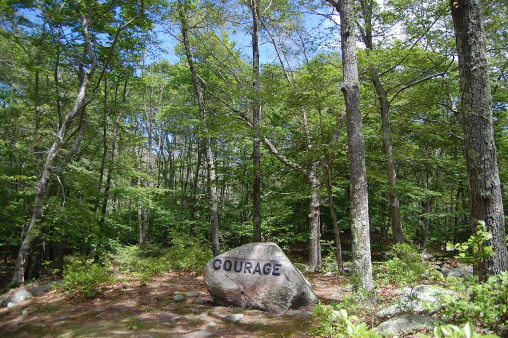 "Courage" boulder in Gloucester's Dogtown woods. (Greg Cook/WBUR)