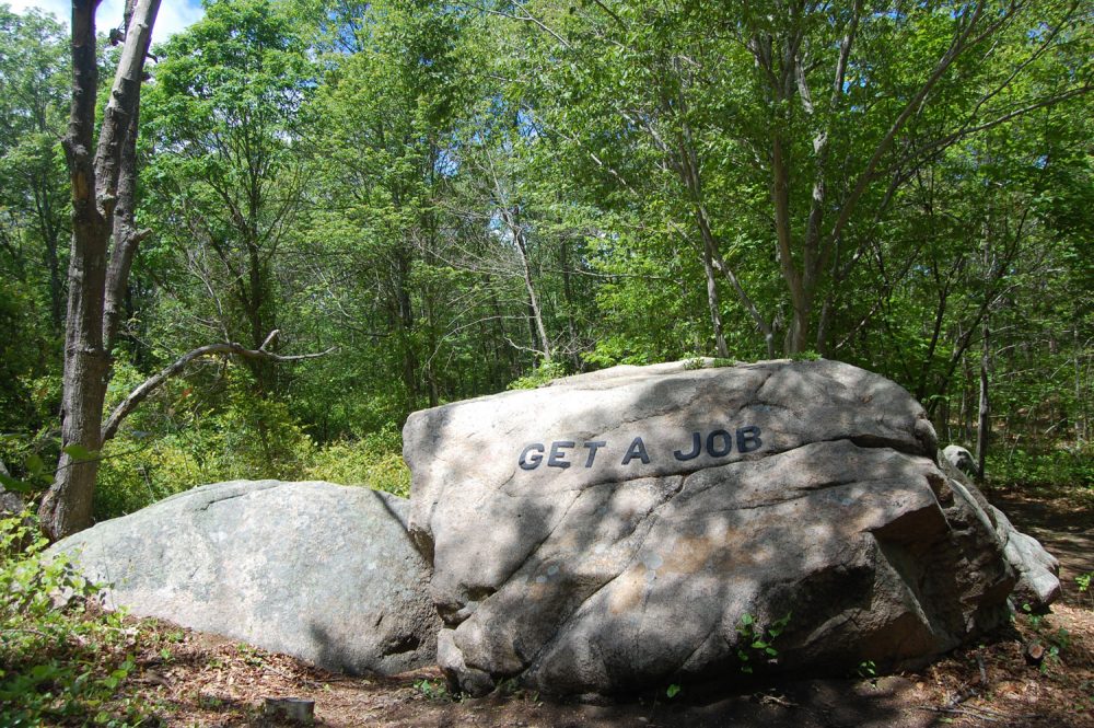 "Get a job" boulder in Gloucester's Dogtown woods. (Greg Cook/WBUR)