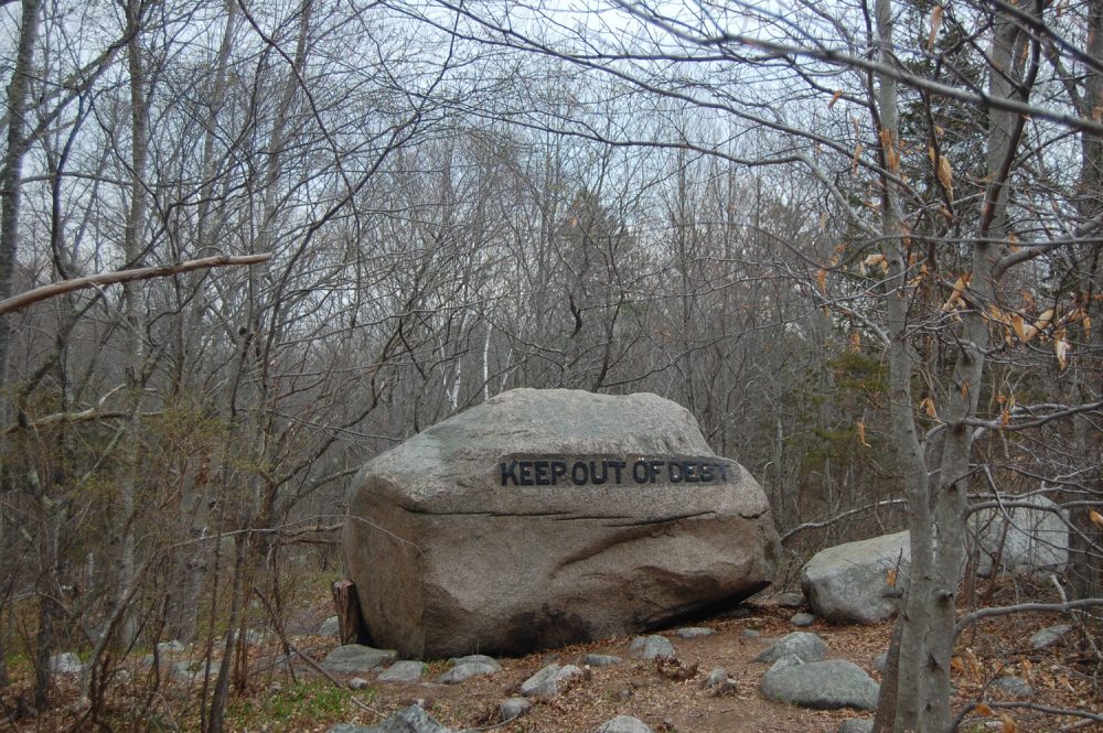 "Keep out of debt" boulder in Gloucester's Dogtown woods. (Greg Cook/WBUR)