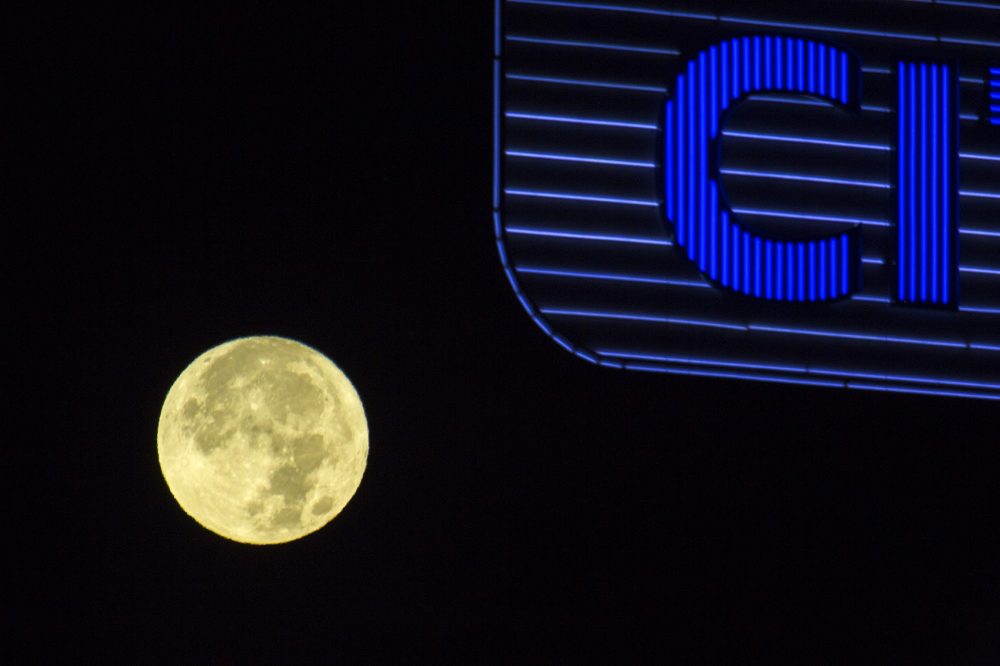 (Jesse Costa/WBUR)