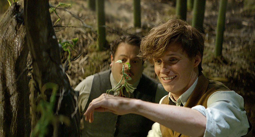 In "Fantastic Beasts and Where to Find Them," Eddie Redmayne as Newt Scamander introduces Dan Fogler as Jacob Kowalski to a beast called a Bowtruckle. (Courtesy of Warner Bros. Pictures)