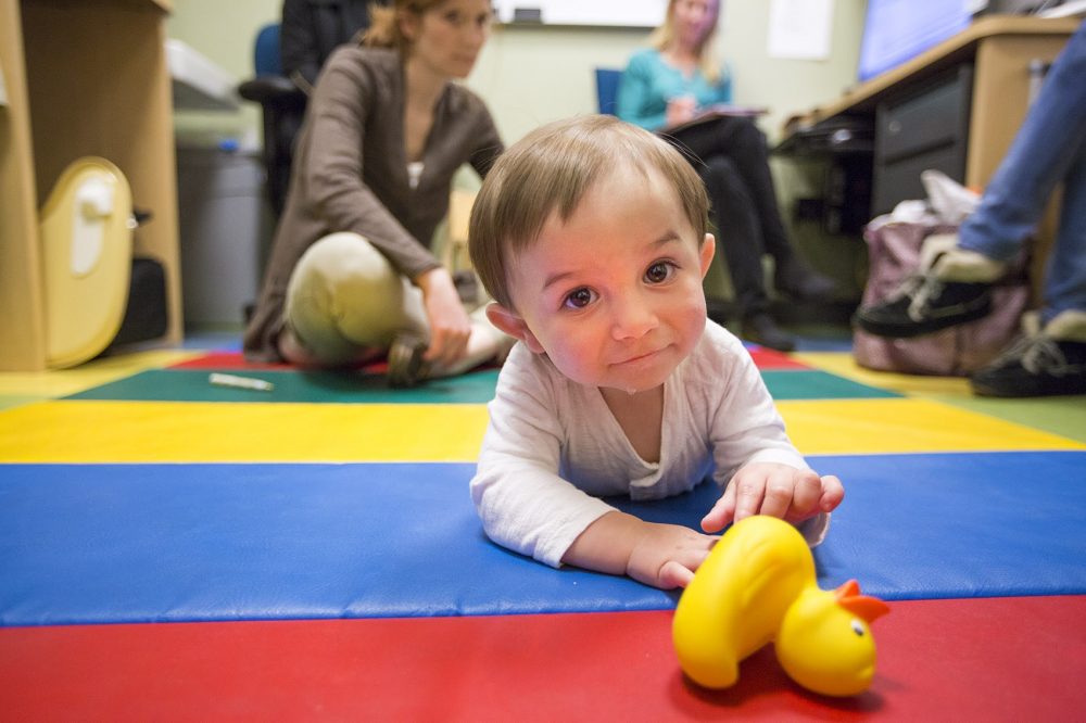 (Jesse Costa/WBUR)