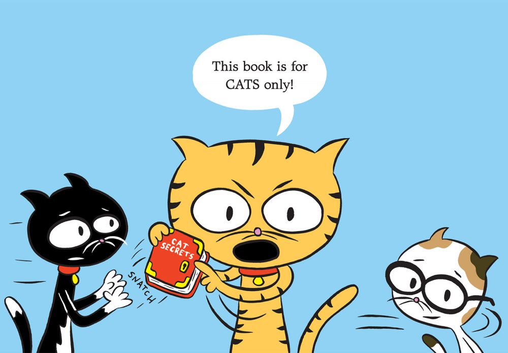Jef Czekaj's book "Cat Secrets."(Courtesy of Jef Czekaj)