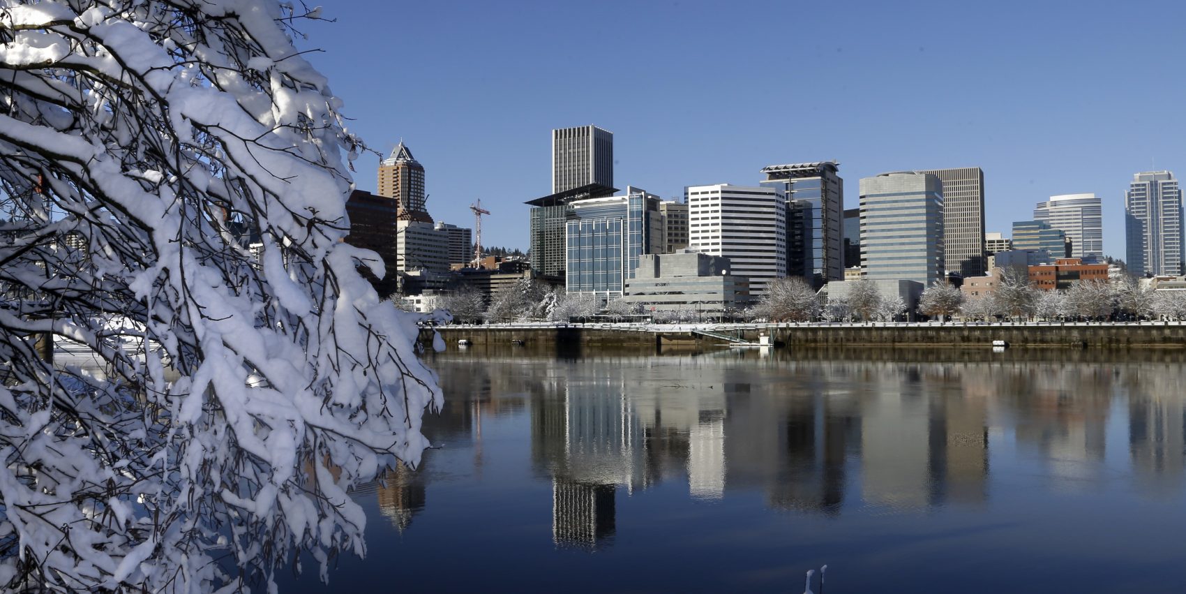 Portland Oregon Mayor Apologizes For Inadequate Response To Winter 