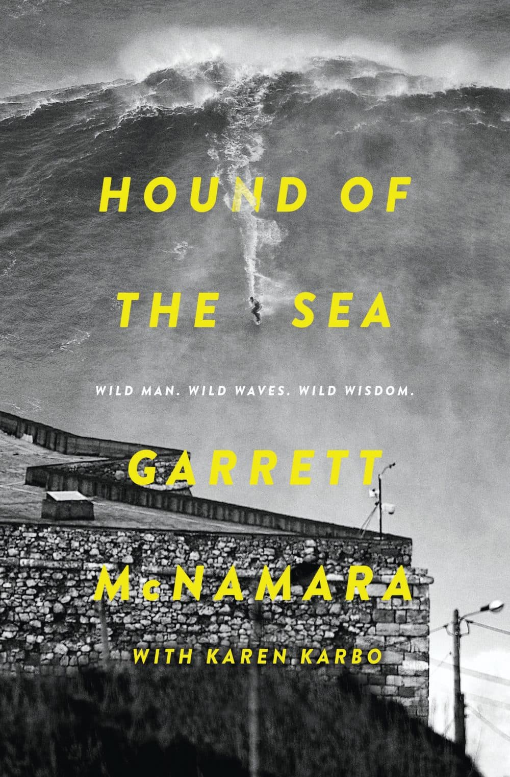 "Hound of the Sea," by Garrett McNamara.