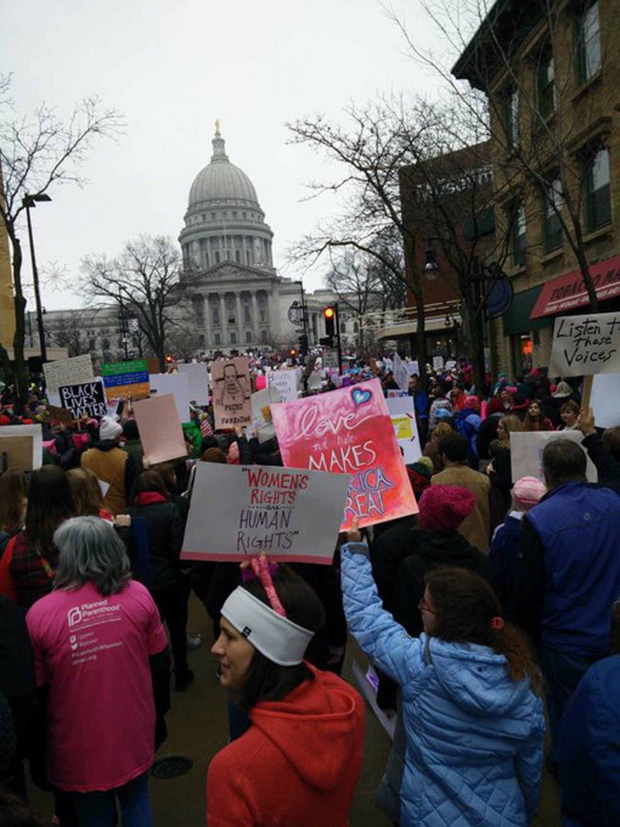What The Women’s March On Washington Means For Civic Protest NCPR News