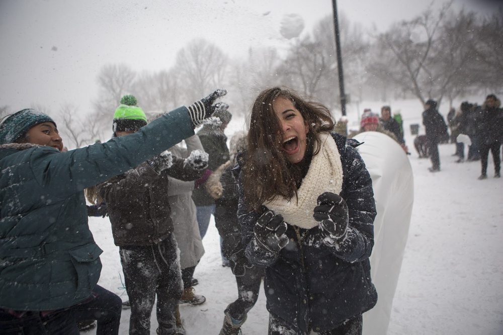 (Jesse Costa/WBUR)