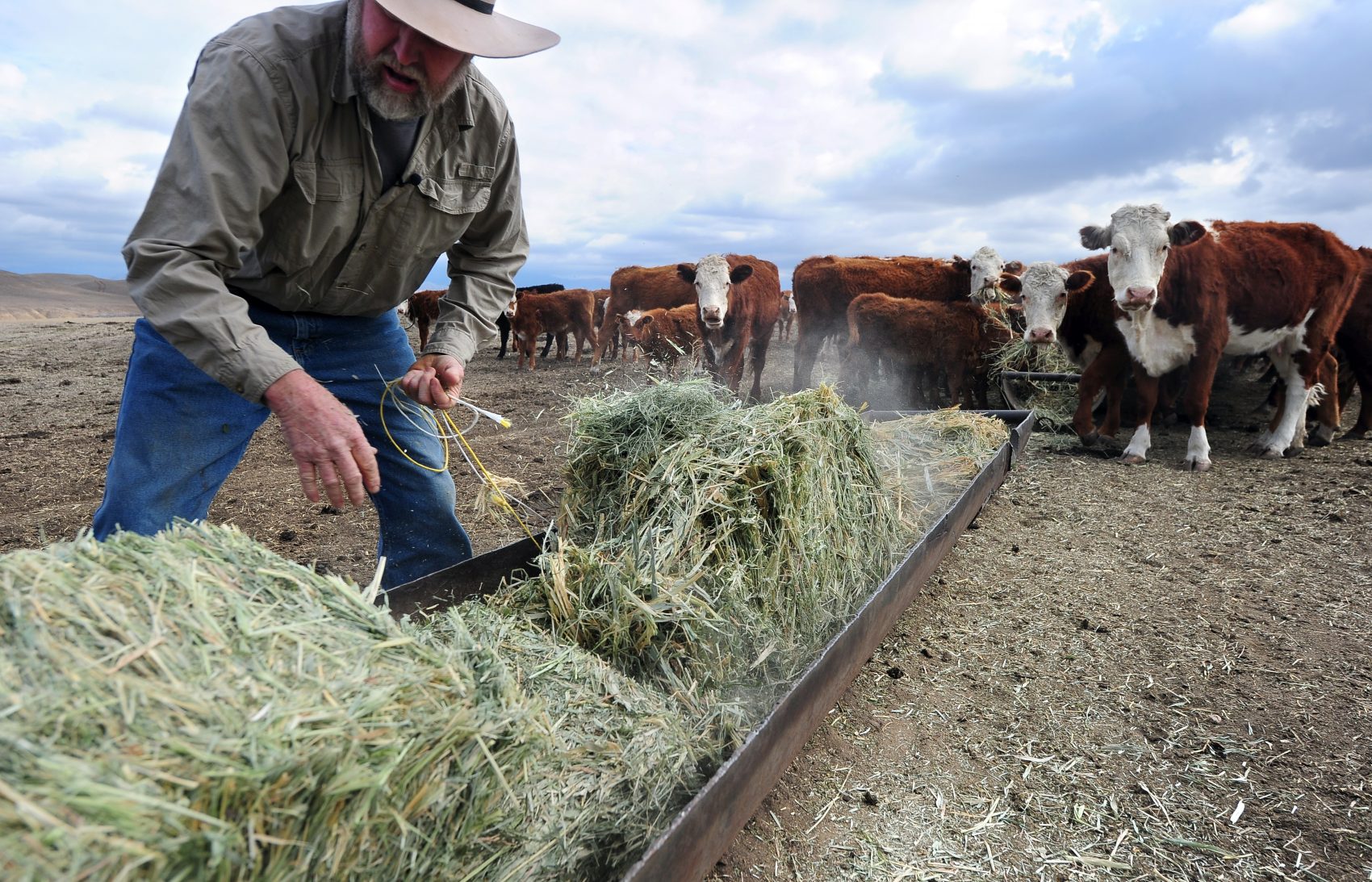 u-s-cattle-ranchers-size-up-trump-s-beef-with-nafta-here-now