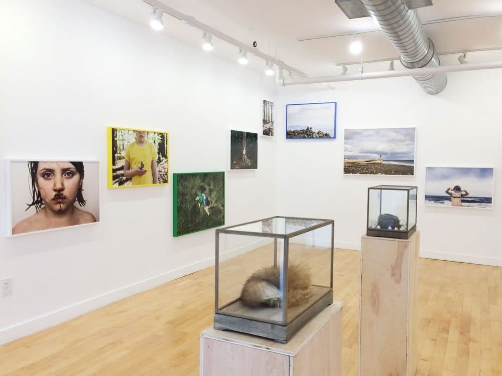 Jesse Burke's exhibition “Wild & Precious" at Boston's Gallery Kayafas (Courtesy Gallery Kayafas)