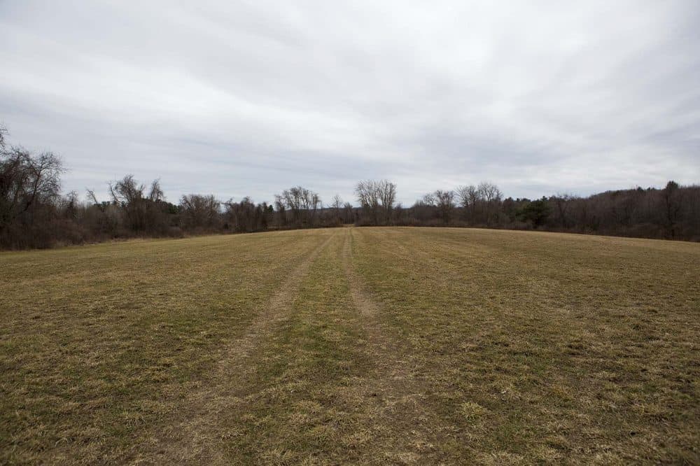 Islamic Society Wins Permit For Muslim Cemetery In Dudley After Protracted,  Bitter Clash | WBUR News