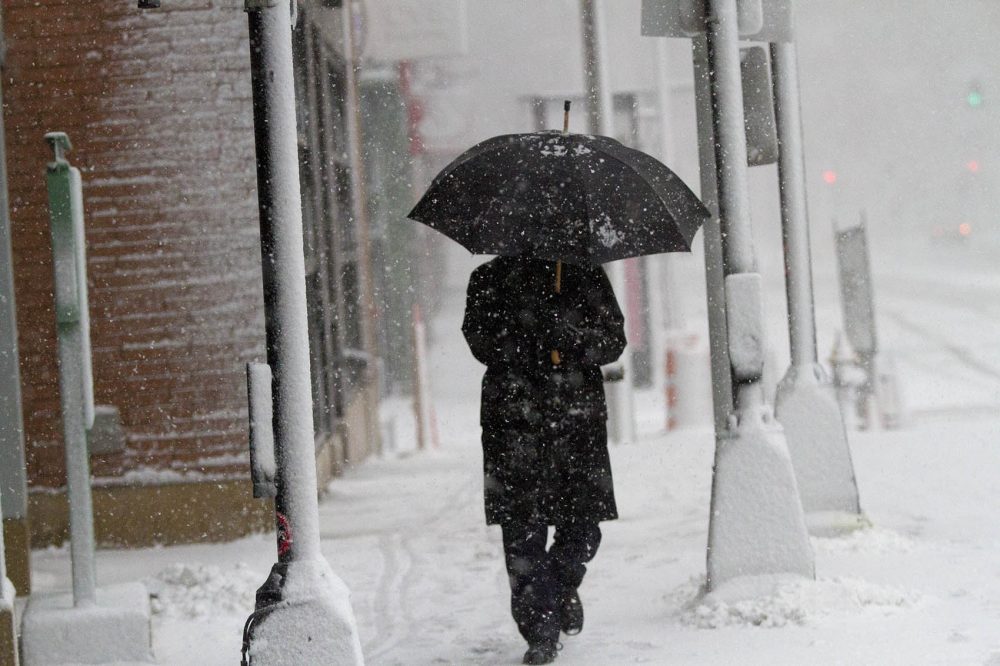 A man with an umbrella fought his way down Causeway Street by North Station. (Jesse Costa/WBUR)