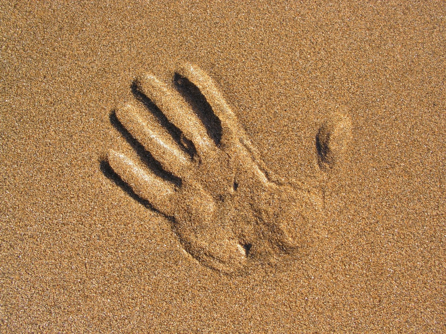 From Car Keys To A Loved One, Learning Lessons From Loss