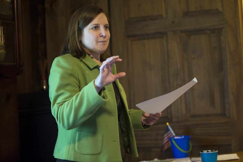 Danielle Kane is the newly elected chair of the Brookfield Town Democratic Committee. (Jesse Costa/WBUR)