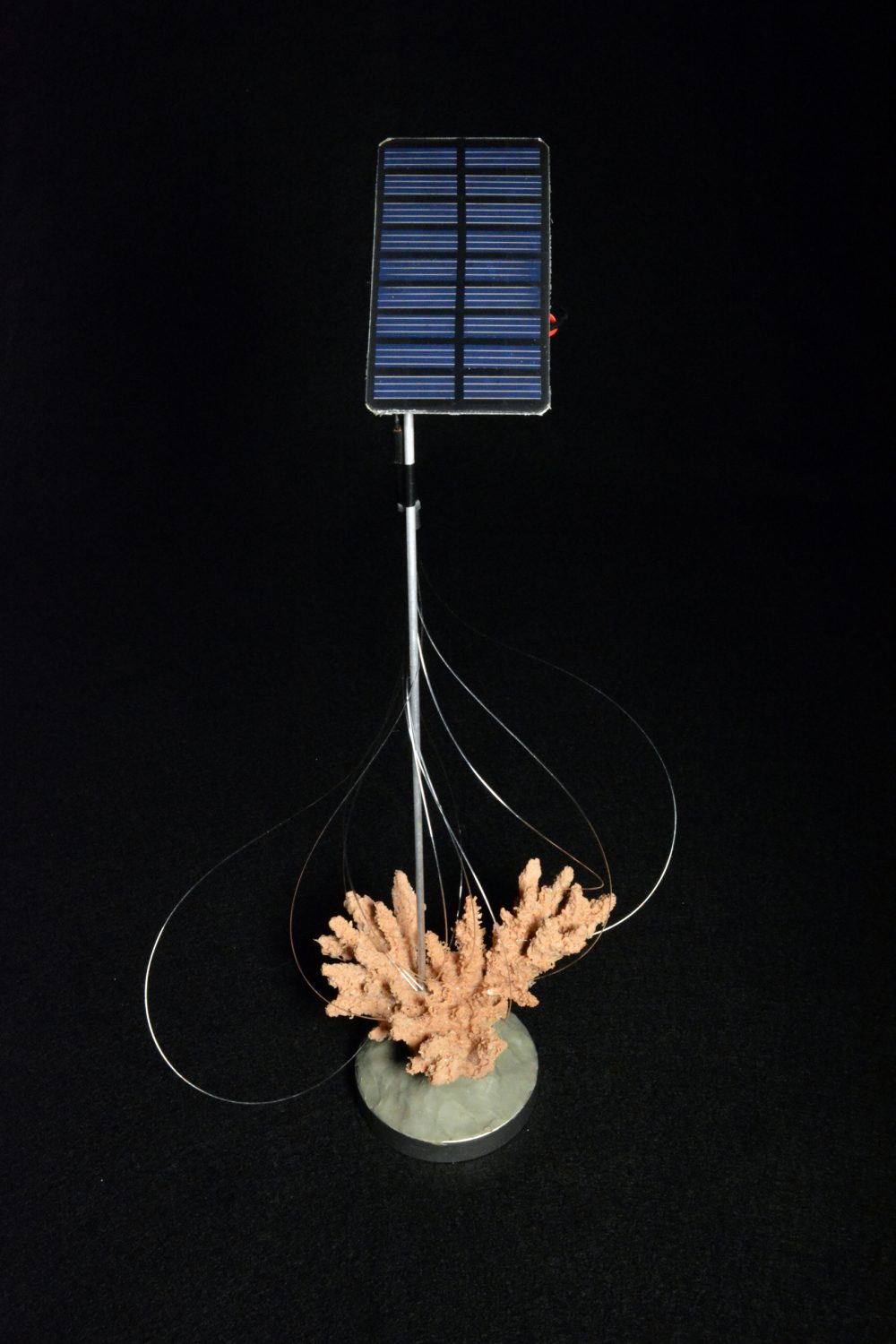 Jonathon Keats' piece "Fiber Optics for Corals (Conceptual Model)." (Courtesy Jonathon Keats)