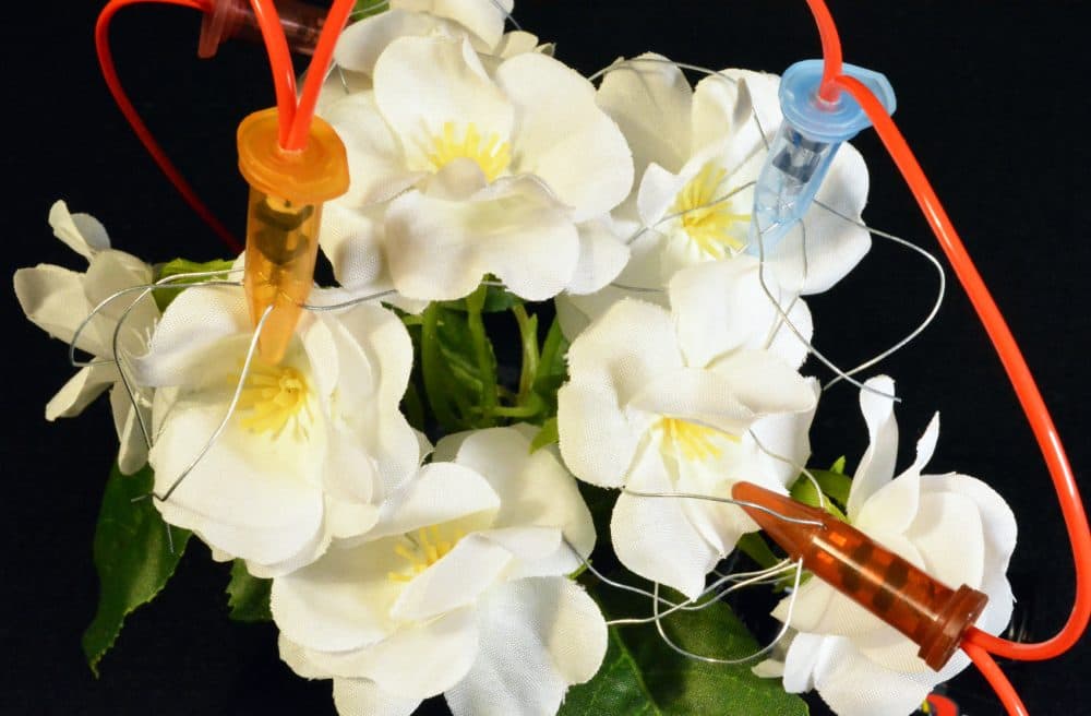 Jonathon Keats' piece "Sex Toys For Flowers." (Courtesy Jonathon Keats)