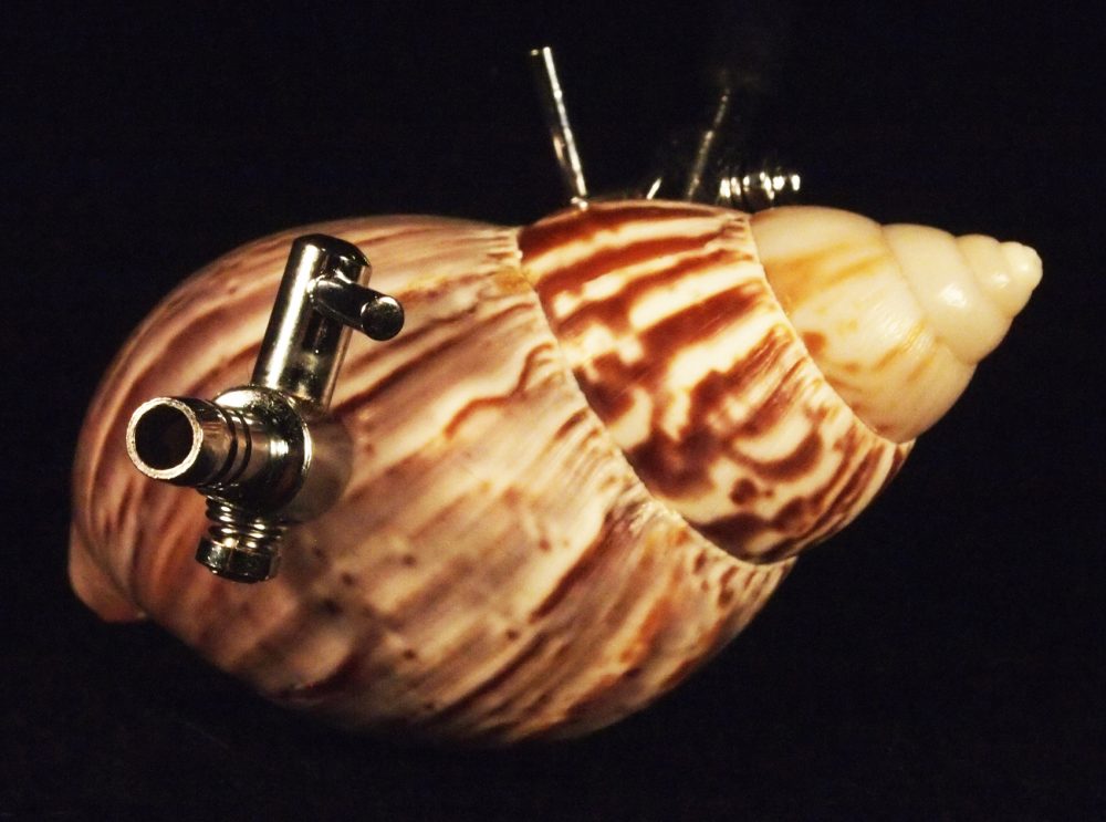 Jonathon Keats' piece "Breathing Apparatus for Mollusks." (Courtesy Jonathon Keats)