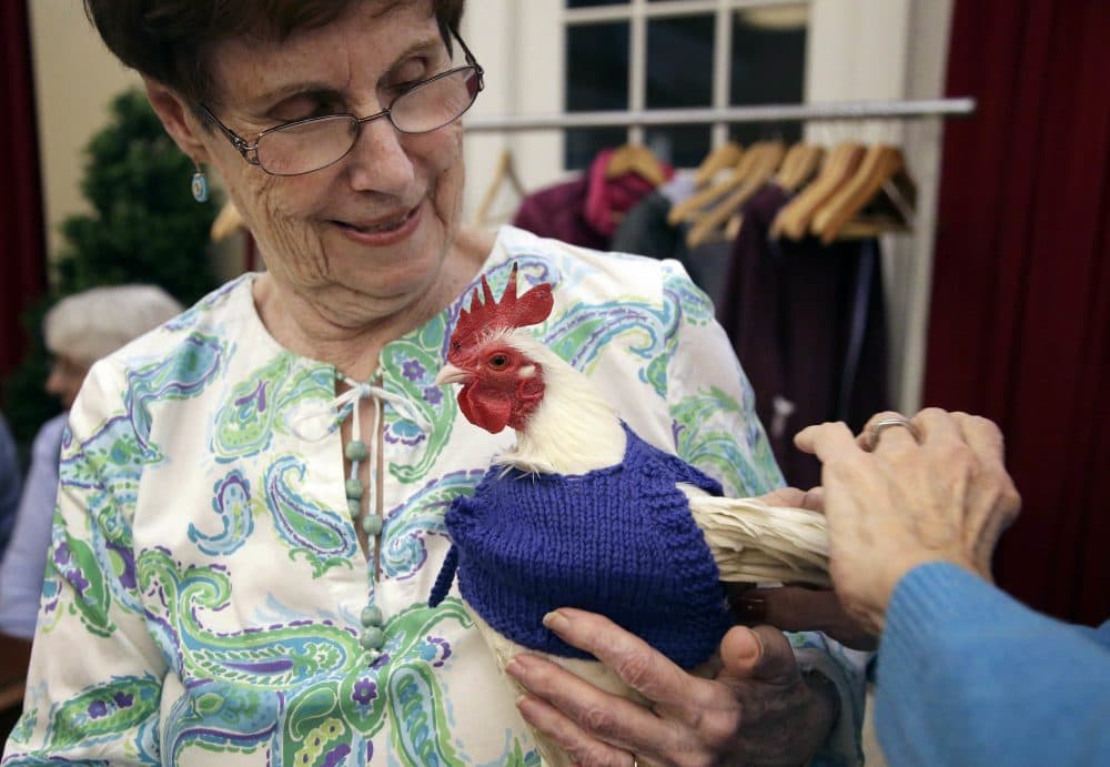 Organizer Nancy Kearns, pictured here, says the project benefits birds kept on a neighboring estate known as the Mary M.B. Wakefield Charitable Trust. (Steven Senne/AP)