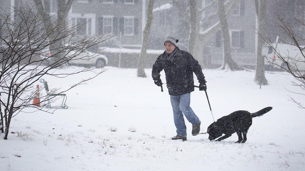 A Cambridge resident and his dog, Penelope, walked though the snow. (Robin Lubbock/WBUR)